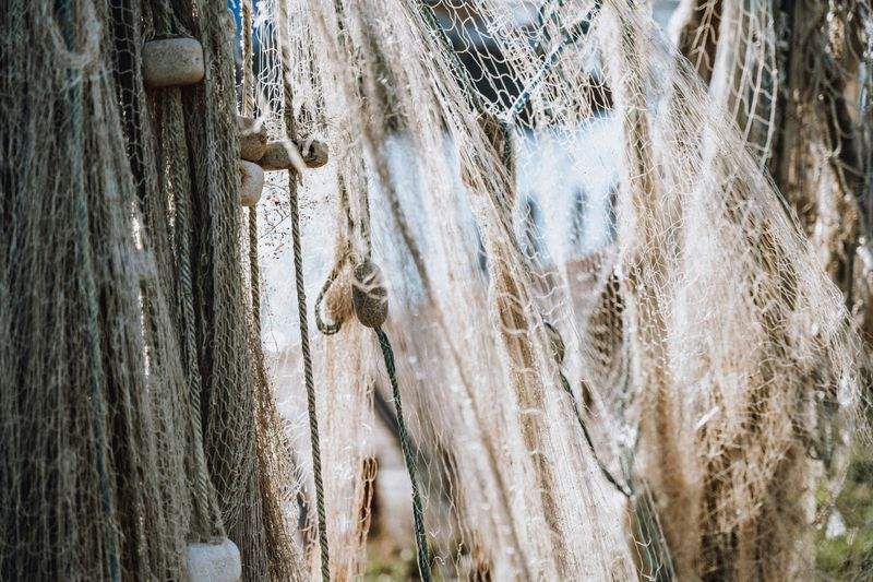 Corsi di pesca sportiva